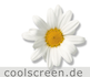 Logo Coolscreen | Hamburg